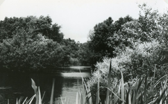 RO_QUACKJESWATER_15 Rockanje; Het Quackjeswater, ca. 1965