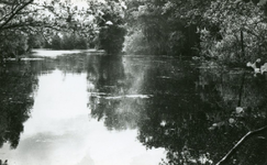 RO_QUACKJESWATER_16 Rockanje; Het Quackjeswater, ca. 1965