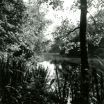 RO_QUACKJESWATER_20 Rockanje; Het Quackjeswater, 31 juli 1961