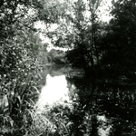 RO_QUACKJESWATER_21 Rockanje; Het Quackjeswater, 31 juli 1961