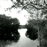 RO_QUACKJESWATER_22 Rockanje; Het Quackjeswater, 14 september 1961