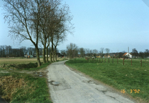 RO_RIETDIJK_05 Rietdijk in oude staat voor de verbreding, de afrastering is reeds verplaatst naar rechts. In het midden ...