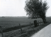 RO_STRYPSEDIJK_08 Foto gemaakt op de Strypsedijk ter hoogte van de Toeloopweg, kijkend over de polder Naters, op de ...