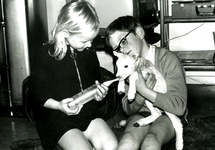 SH_BEVERWIJKSTRAAT_03 Bob en Joyce Dekker geven een lam de fles in het huis van mwj. Treurniet; 25 april 1969