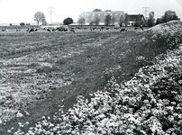 SH_DORPSWEG_01 Boerderij langs de Dorpsweg in Biert; 1982