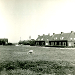 SH_HOGEWEG_01 Woningen langs de Hogeweg, op de achtergrond de kerk; 17 juni 1959