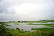 SH_WATEROVERLAST_02 Ondergelopen weilanden in de polder Simonshaven na overvloedige regenval; September 1998