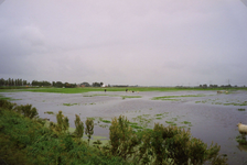 SH_WATEROVERLAST_03 Ondergelopen weilanden in de polder Simonshaven na overvloedige regenval; September 1998