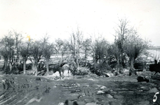 SH_WATERSNOODRAMP_03 Schade aan boomgaard in Simonshaven; Februari 1953