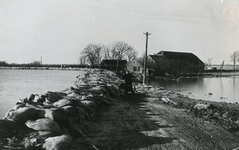 SH_WATERSNOODRAMP_04 Zandzakken verstevigen de dijk; Februari 1953
