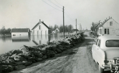 SH_WATERSNOODRAMP_05 Zandzakken verstevigen de dijk; Februari 1953