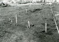 SP_ARCHEOLOGIE_042 Opgravingen in Spijkenisse: Romeins huis met stenen dak op Halfweg II; 16 juni 1983