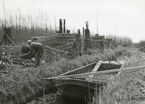 SP_GRIENDWERKEN_007 Arbeiders verzamelen het griendhout in de grienden van de familie Hogenboom op de Welplaat; ca. 1950