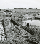 SP_GRIENDWERKEN_015 Griendhout wordt gebruikt voor het maken van dammen; ca. 1950