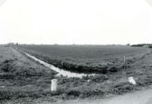 SP_LAGEWEG_002 De wijk Vogelenzang, gezien vanaf de Lageweg. Op de achtergrond de boerderij langs de Westdijk; ca. 1970