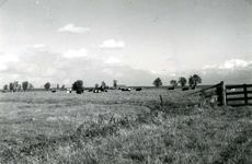 SP_MEELDIJK_020 De boerderij van Bodegom (links) en De Snayer (rechts) aan de Lange Schenkeldijk, gezien vanaf de ...