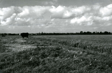 SP_MEELDIJK_024 Kijkje op de polder Braband vanaf de Meeldijk of Houwerseweg. Op de achtergrond het dorp Spijkenisse. ...