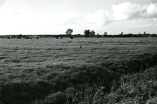 SP_MEELDIJK_025 Kijkje op de polder Braband vanaf de Meeldijk of Houwerseweg. Op de achtergrond het dorp Spijkenisse. ...