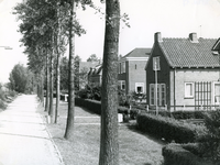 SP_MOLENPAD_002 Woningen langs het Molenpad; 1961