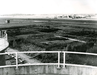 SP_RIOOLZUIVERING_014 De rioolwaterzuiveringsinstallatie aan de Hekelingseweg. Daarnaast een kwekerij; 1963