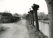 SP_VIERAMBACHTENKADE_010 Spijkenisse; De geknotte wilgen langs de Vierambachtenkade. Op de achtergrond de pastorie, 1988