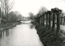 SP_VIERAMBACHTENKADE_011 Spijkenisse; De geknotte wilgen langs de Vierambachtenkade. Op de achtergrond de gereformeerde ...