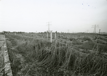 TI_KONNEWEG_011 Tuinderij van J.J. Hordijk en Zn. De kassen zijn hier al afgebroken alleen de betonnen palen staan er ...