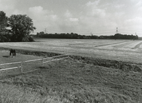 TI_PANSERDIJK_001 Gezicht vanaf de Panserdijk in de richting Brielle; 8 augustus 2004