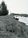 TI_PANSERDIJK_002 Watergang langs de Panserdijk gegraven bij de ruilverkaveling. De brug er over is de Woudseweg, op de ...