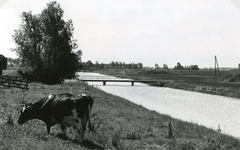 TI_PANSERDIJK_003 Watergang langs de Panserdijk gegraven bij de ruilverkaveling. De brug er over is de Woudseweg, op de ...