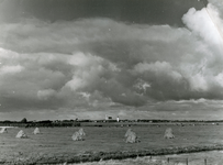 TI_ZUURLANDSEDIJK_001 Gezicht op Brielle vanaf de Zuurlandsedijk. Hooi op staken; ca. 1955