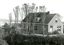 VP_ACHTERDIJK_022 Glastuinbouw in Vierpolders: een woning met kassen; 1966