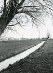 VP_OUDEDIJK_012 Vierpolders; De Spuilanden gezien vanaf de Oudedijk, op de achtergrond de woonwijk Kleine Goote, 1989