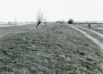 VP_OUDEDIJK_013 Vierpolders; De Oudedijk met de daarop gelegen weg. De Oudedijk en een groot deel van de Hoofddijk ...