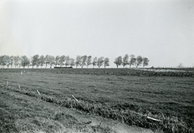 ZL_BERNISSESPUIDIJK_02 Kijkje in de polder achter de Bernisse Spuidijk; 1957