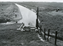 ZL_BERNISSESPUIDIJK_03 Overzicht van de polder met sluisje voor waterinlaat; ca. 1965