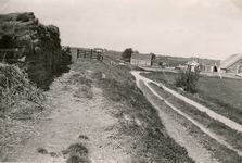 ZL_DIJKVERSTERKING_15 Kijkje op de Zeedijk, hoek Schoutsweg. Links bossen riet, rechts de boerderij van de gebroeders ...