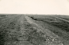 ZL_DIJKVERSTERKING_39 Kijkje op de Zeedijk, bij de aansluiting van de Ganzekoekweg nabij de Koeneweg; 1957