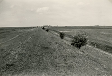 ZL_DIJKVERSTERKING_46 Kijkje op de Zeedijk, richting de Koeneweg. Op de achtergrond de boerderij van Oosthoek; 1961