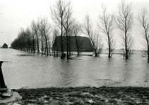 ZL_WATERSNOODRAMP_007 Boerderij van B. Blaak in het water; 1 februari 1953