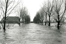 ZL_WATERSNOODRAMP_008 Boerderij van B. Blaak in het water; 1 februari 1953