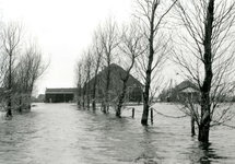 ZL_WATERSNOODRAMP_021 De oprijlaan naar de boerderij 'Bouwlust' van M. Blaak; Februari 1953