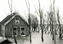 ZL_WATERSNOODRAMP_029 De boerderij van G. Quispel in het water; Februari 1953