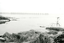 ZL_WATERSNOODRAMP_032 De polder staat blank, gezicht vanaf het Stroomgat in de Haasdijk; Februari 1953