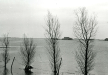 ZL_WATERSNOODRAMP_048 De ondergelopen polder, gezien vanaf doerderij van Maarten Blaak in het water; Februari 1953