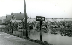 ZL_WATERSNOODRAMP_067 Beschadigde kassen; Februari 1953