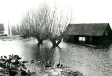 ZL_WATERSNOODRAMP_095 Boerderij van M. Blaak in het water; 1 februari 1953