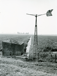 ZW_BRIELSEMAAS_014 Overblijfselen van het in 1937 gebouwde gemaal in de Ondernemingspolder met de daarbij behorende ...