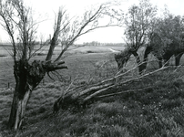 ZW_HOLLEMARE_001 Holle Mare gezien vanaf De Holle Maarse Dijk; ca. 1980