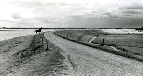 ZW_MAASDIJK_002 Maasdijk met links het Brielse Meer en de contouren van de industrie op Rozenburg; ca. 1960